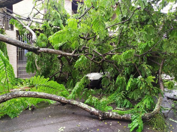 Áreas afetadas pela chuva e ventania recebem equipes para recuperação