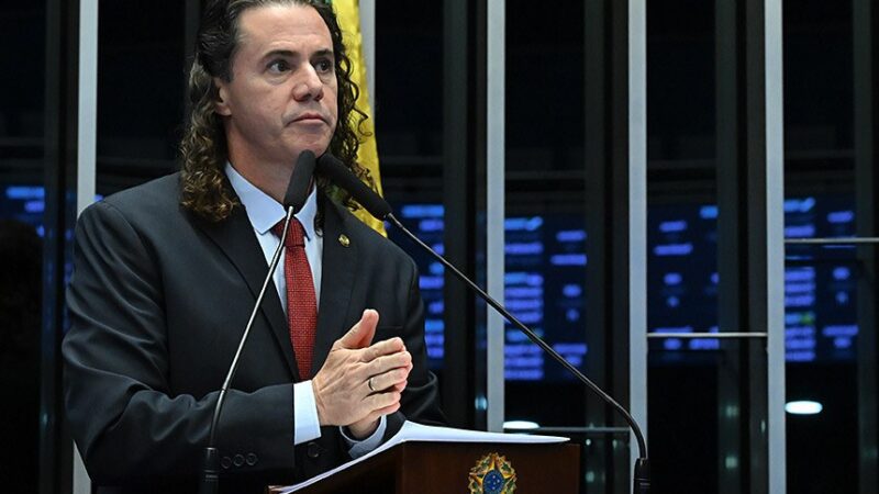 Senado aprova guarda compartilhada de animais de estimação em separações