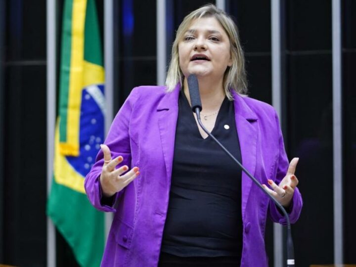 Deputada aciona órgão internacional contra lei da dosimetria