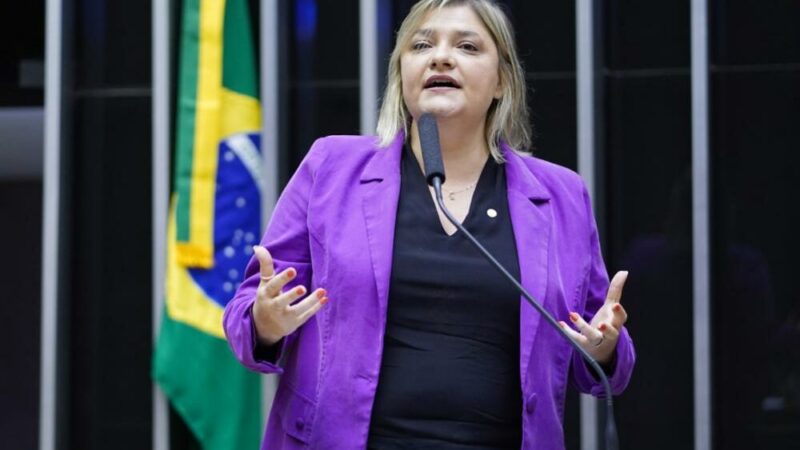 Deputada aciona órgão internacional contra lei da dosimetria