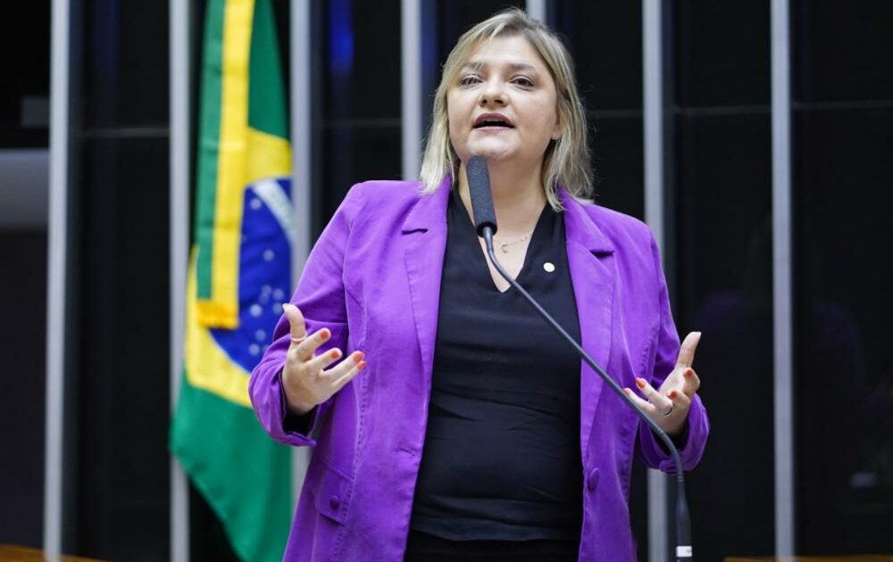 Deputada aciona órgão internacional contra lei da dosimetria