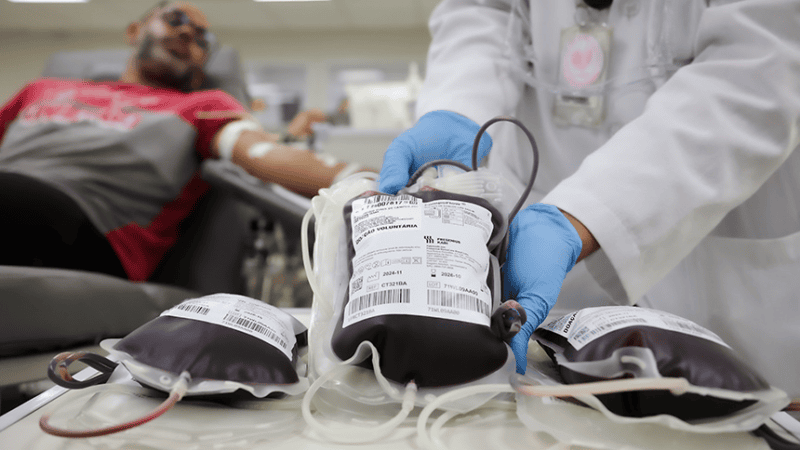 Junho Vermelho vira lei nacional para incentivar doação de sangue