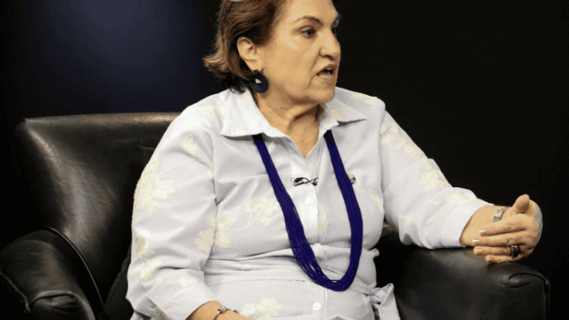 Ministra diz que governo Lula vê resistência de big techs a regras contra violência digital