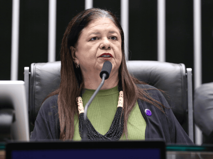Projeto de lei quer tornar permanente o combate ao feminicídio