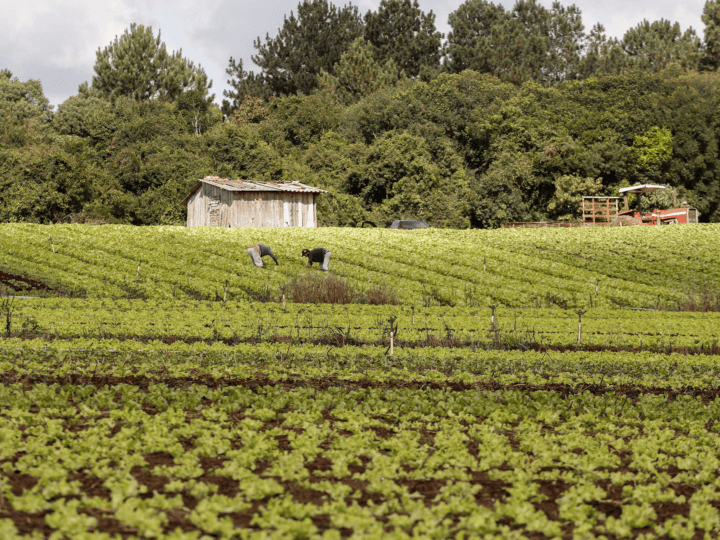 Projeto prevê validação automática do Cadastro Ambiental Rural para pequenas propriedades