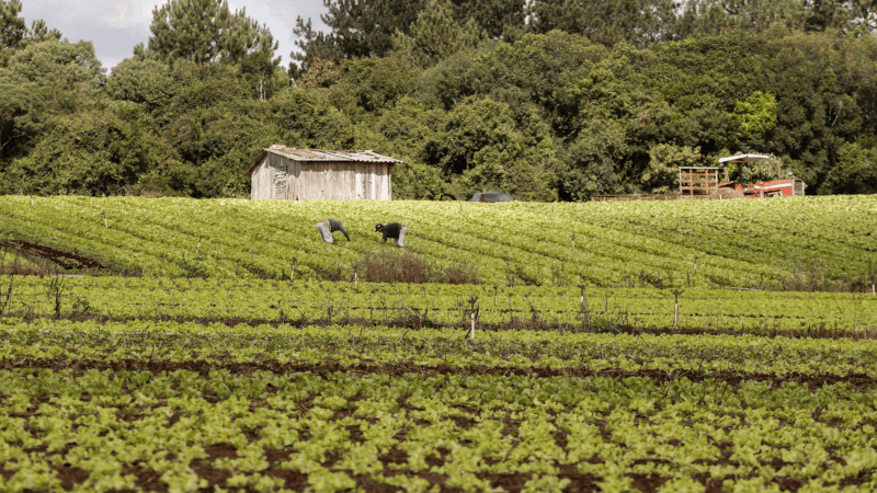 Projeto prevê validação automática do Cadastro Ambiental Rural para pequenas propriedades