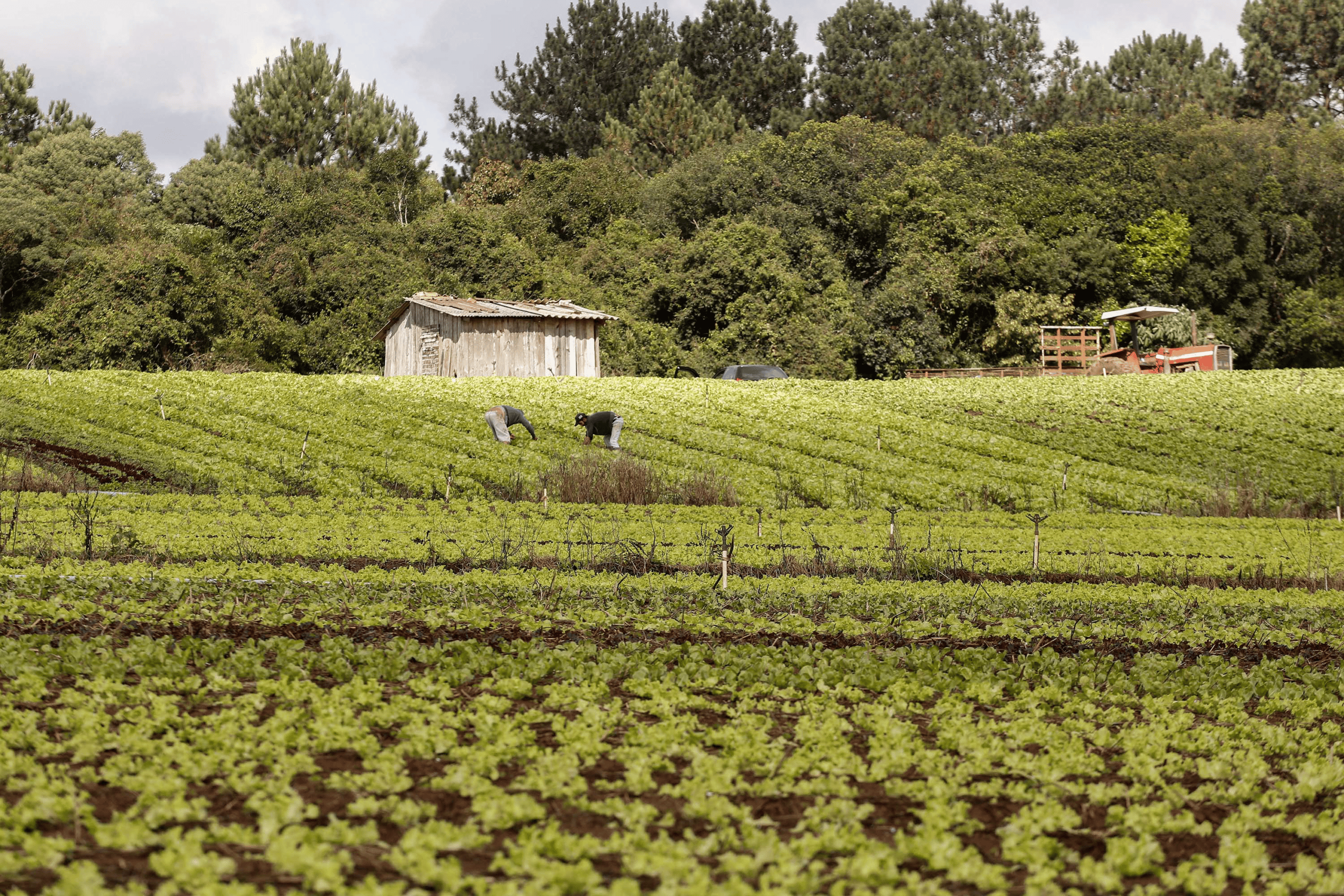 Projeto prevê validação automática do Cadastro Ambiental Rural para pequenas propriedades