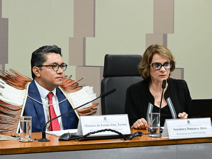 Senado cobra transparência na aplicação de recursos para os ianomâmis