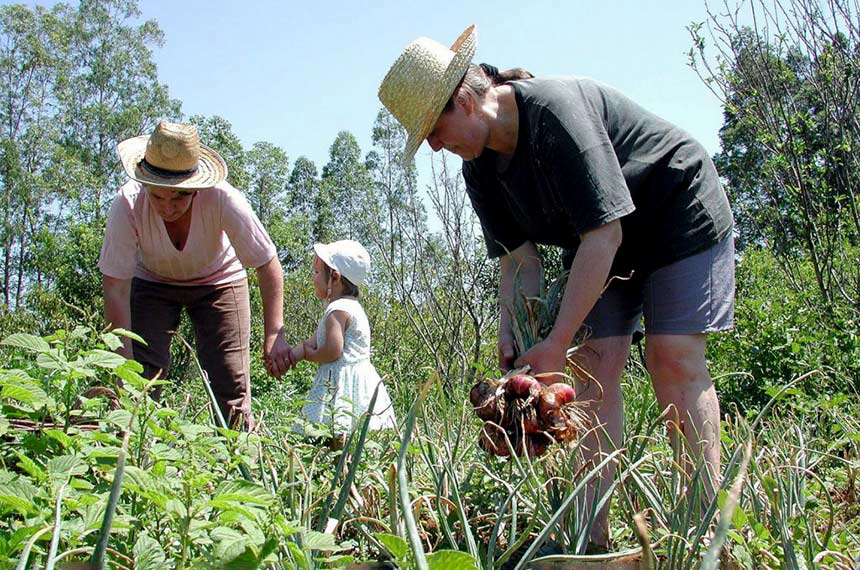 MP abre crédito extraordinário de R$ 375 milhões para a agricultura familiar