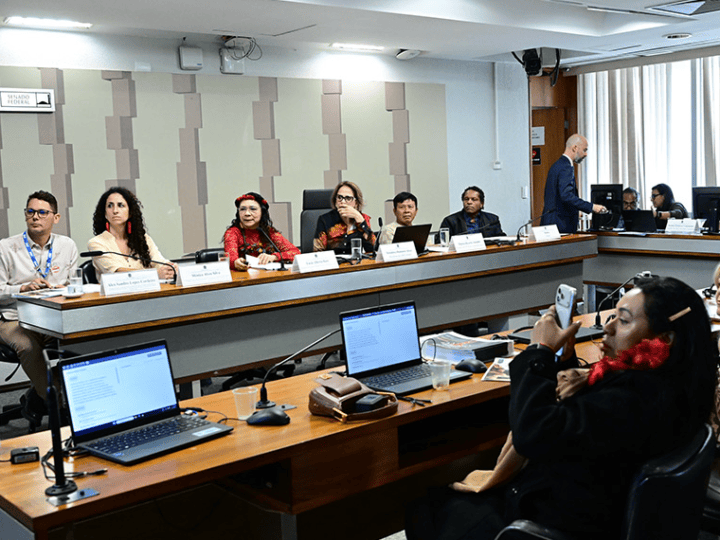 Lideranças ianomâmis cobram proteção e continuidade de ações ambientais