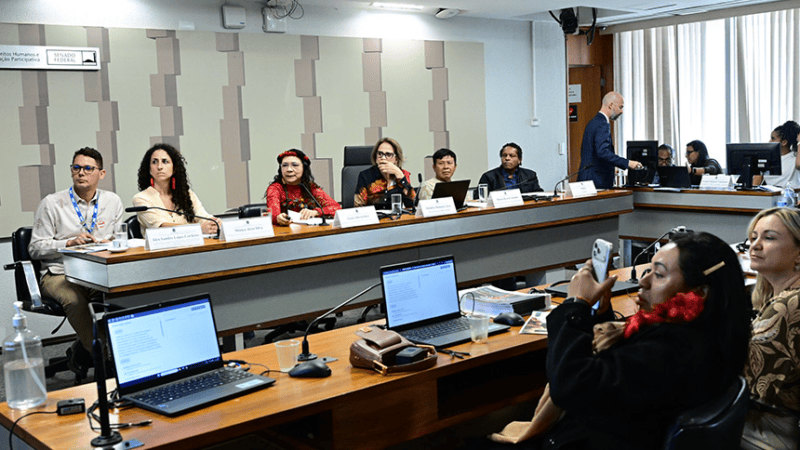 Lideranças ianomâmis cobram proteção e continuidade de ações ambientais