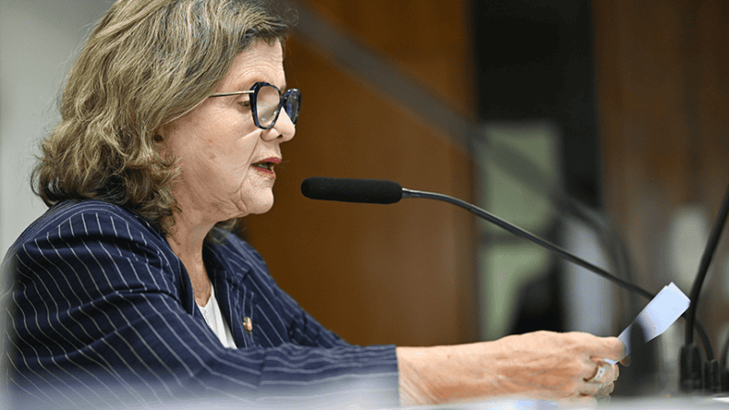 Projeto prevê alerta em veículos novos contra esquecimento de crianças e pets