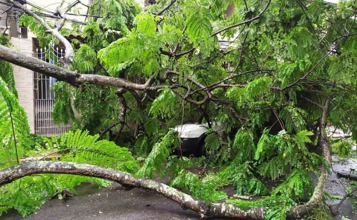 Áreas afetadas pela chuva e ventania recebem equipes para recuperação