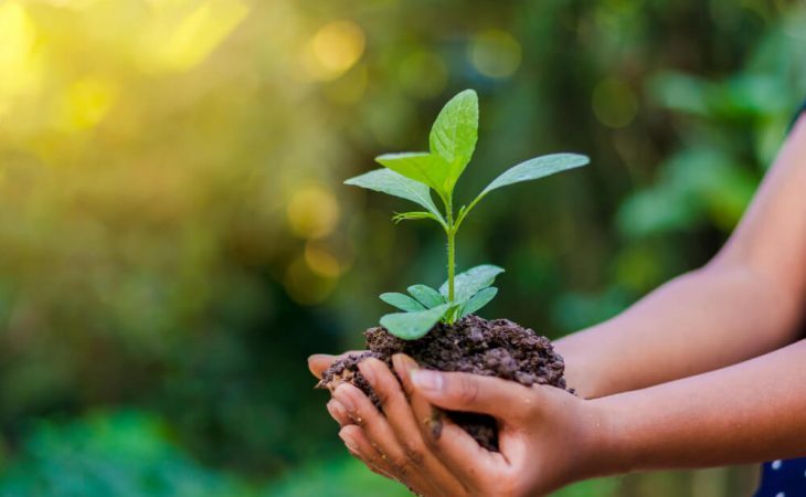 Curso de Formação de Multiplicadores em Educação Ambiental e Meio Ambiente está com vagas abertas