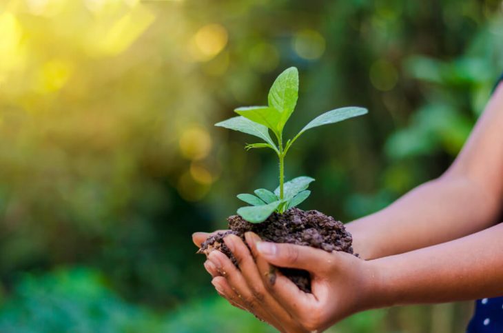 Curso de Formação de Multiplicadores em Educação Ambiental e Meio Ambiente está com vagas abertas