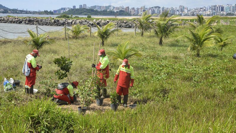 Novas espécies nativas e recuperação da restinga transformam visual da Orla de Camburi