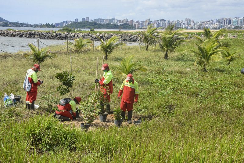 Novas espécies nativas e recuperação da restinga transformam visual da Orla de Camburi