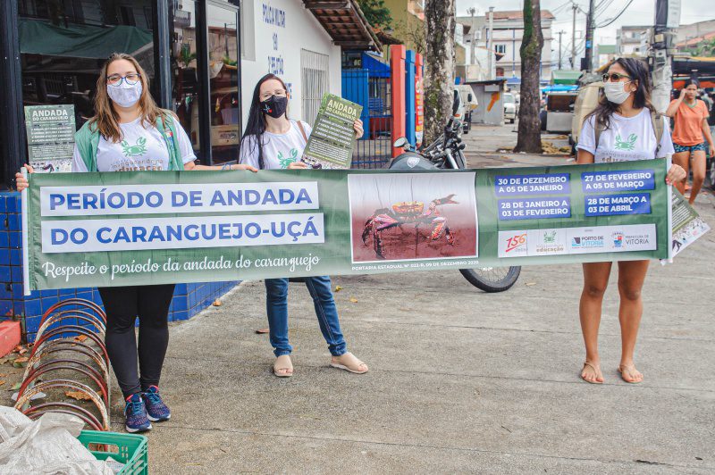Prefeitura de Vitória inicia ações sobre a andada do caranguejo-uçá