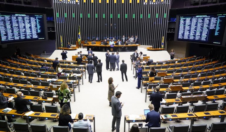 Plenário da Câmara aprovou 271 propostas em 2022; confira os principais temas votados
