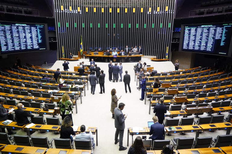 Plenário da Câmara aprovou 271 propostas em 2022; confira os principais temas votados