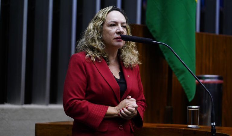 Projeto determina atendimento humanizado às vítimas de violência nas delegacias da mulher