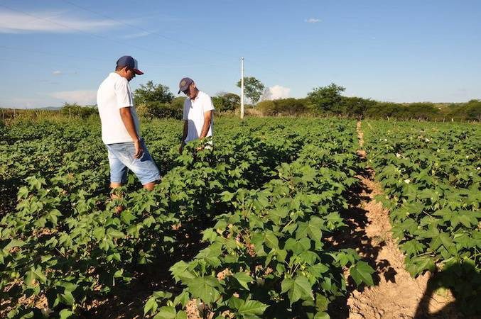 Vai a Plenário projeto que cria a Política Nacional de Empreendedorismo do Jovem do Campo