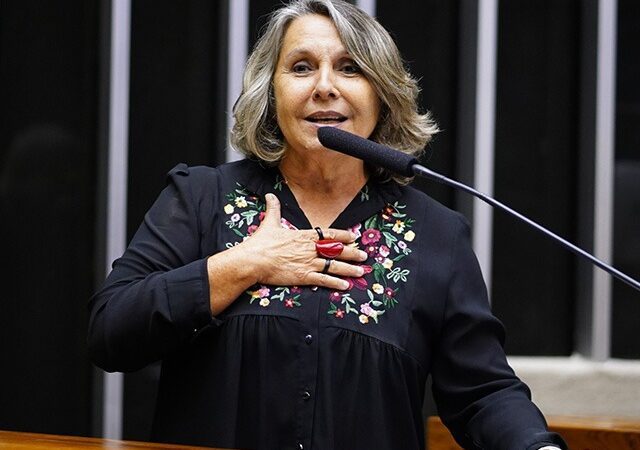 Debate na Comissão de Cultura aborda a situação atual do Teatro e da Faculdade Dulcina de Moraes