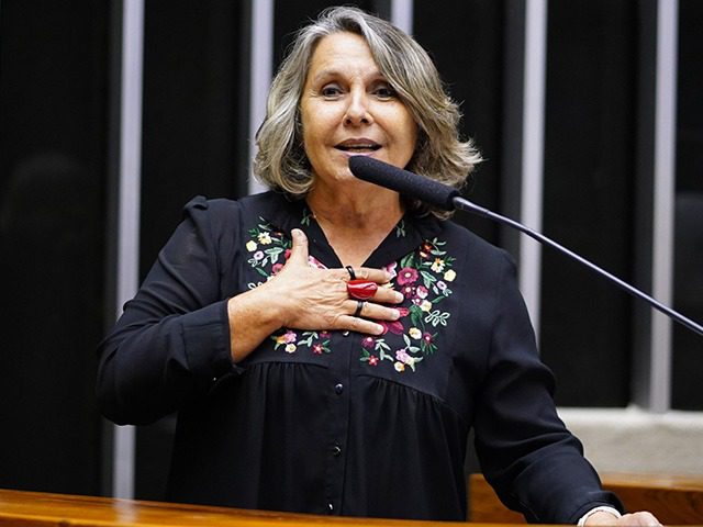 Debate na Comissão de Cultura aborda a situação atual do Teatro e da Faculdade Dulcina de Moraes