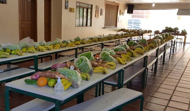 Ministério Público Destina R$ 100 Milhões para Adquirir e Distribuir Alimentos da Agricultura Familiar