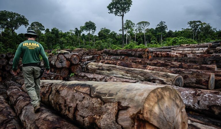 Debate sobre regulação do mercado de carbono é tema em Comissão de Mudanças Climáticas