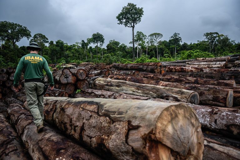 Debate na Comissão de Mudanças Climáticas sobre a Regulação do Mercado de Carbono