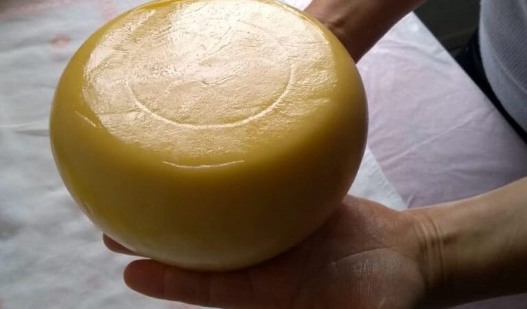 Comissão realiza seminário sobre políticas públicas para o queijo artesanal nesta quinta