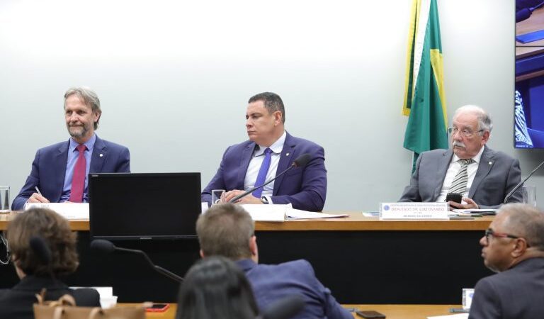 Governo defende financiamento público da transição energética industrial