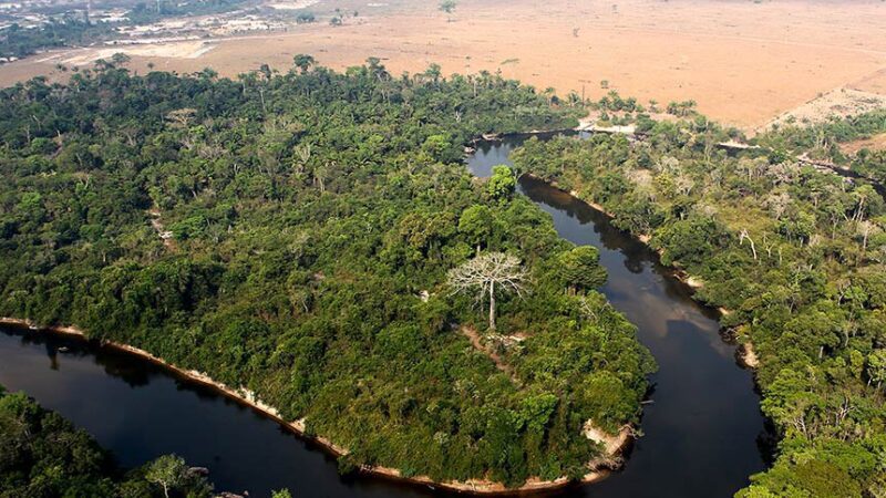 Projeto que diminui reserva legal em imóveis rurais da Amazônia pode ser votado pela CCJ