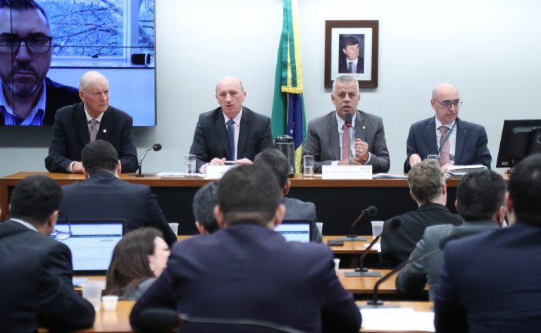 Comissão de Agricultura Solicitará ao Cade Investigação de Possível Cartel em Leilão de Arroz