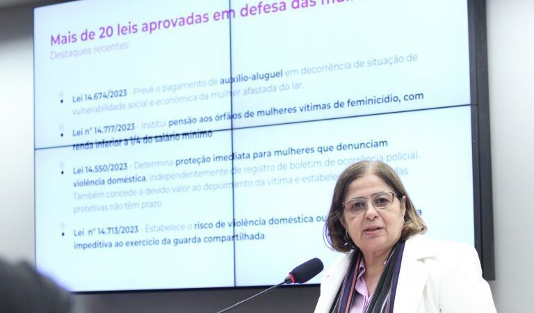 Ministra destaca esforços do Ministério das Mulheres no combate às desigualdades