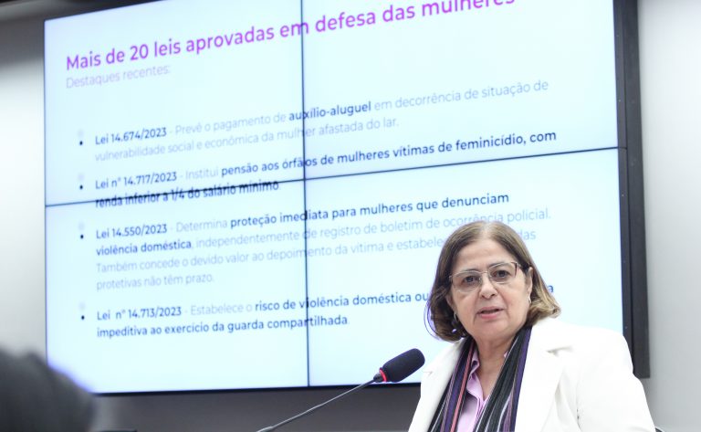 Ministra destaca esforços do Ministério das Mulheres no combate às desigualdades