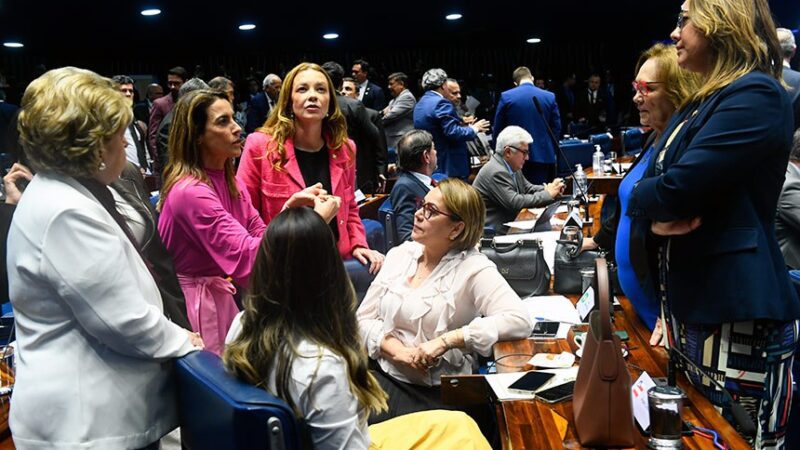 Pauta feminina avançou no Senado no primeiro semestre