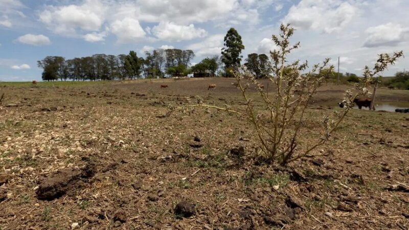 Vetado adiamento de parcelas de dívidas rurais de atingidos por seca ou inundação