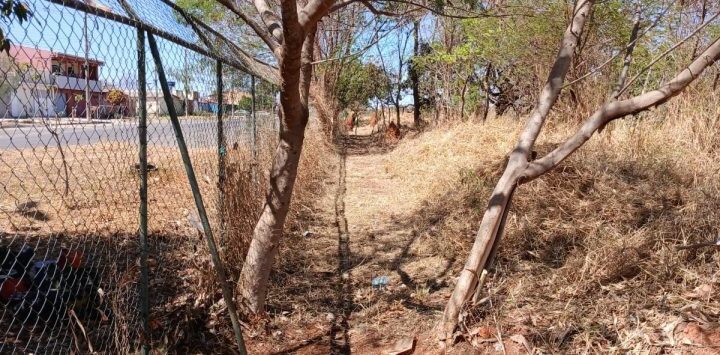 Brigadistas florestais fazem aceiro preventivo em Planaltina