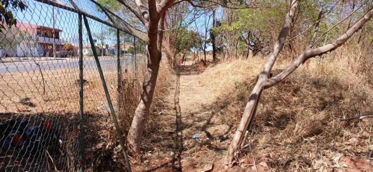 Brigadistas florestais fazem aceiro preventivo em Planaltina