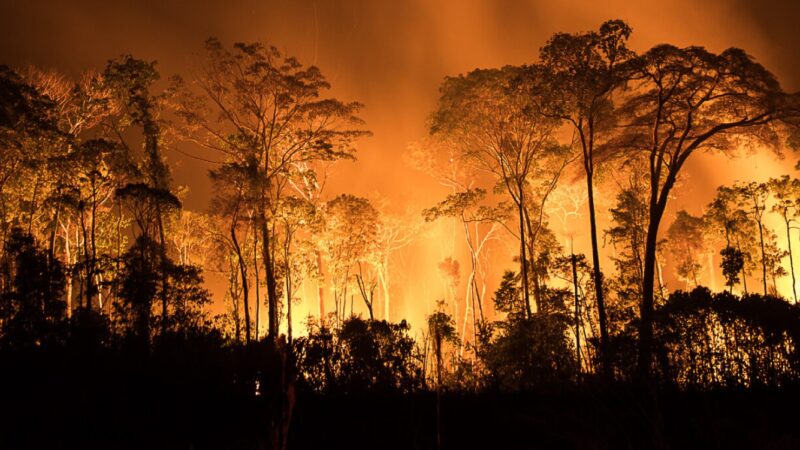 MP libera R$ 514 milhões para combater queimadas na Amazônia