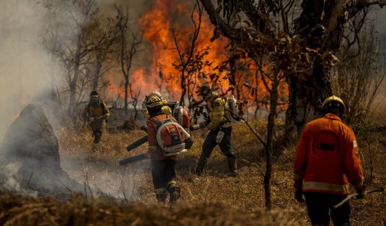 Medida provisória flexibiliza transferência de recursos para combate a incêndios florestais