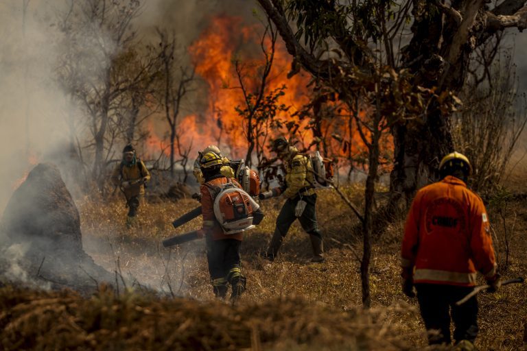 Medida provisória flexibiliza transferência de recursos para combate a incêndios florestais